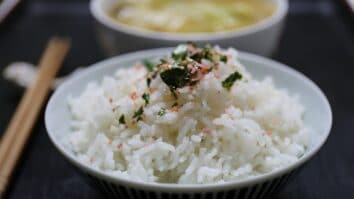 Plus d'infos sur le riz et les nutriments qu'il apporte